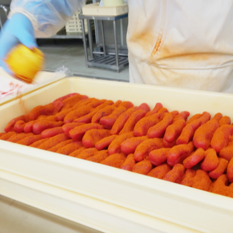 工場見学 | ふくや味の明太子工場 ハクハク(博多の食と文化の博物館 ハクハク)