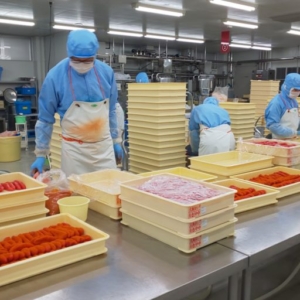 工場内イメージ