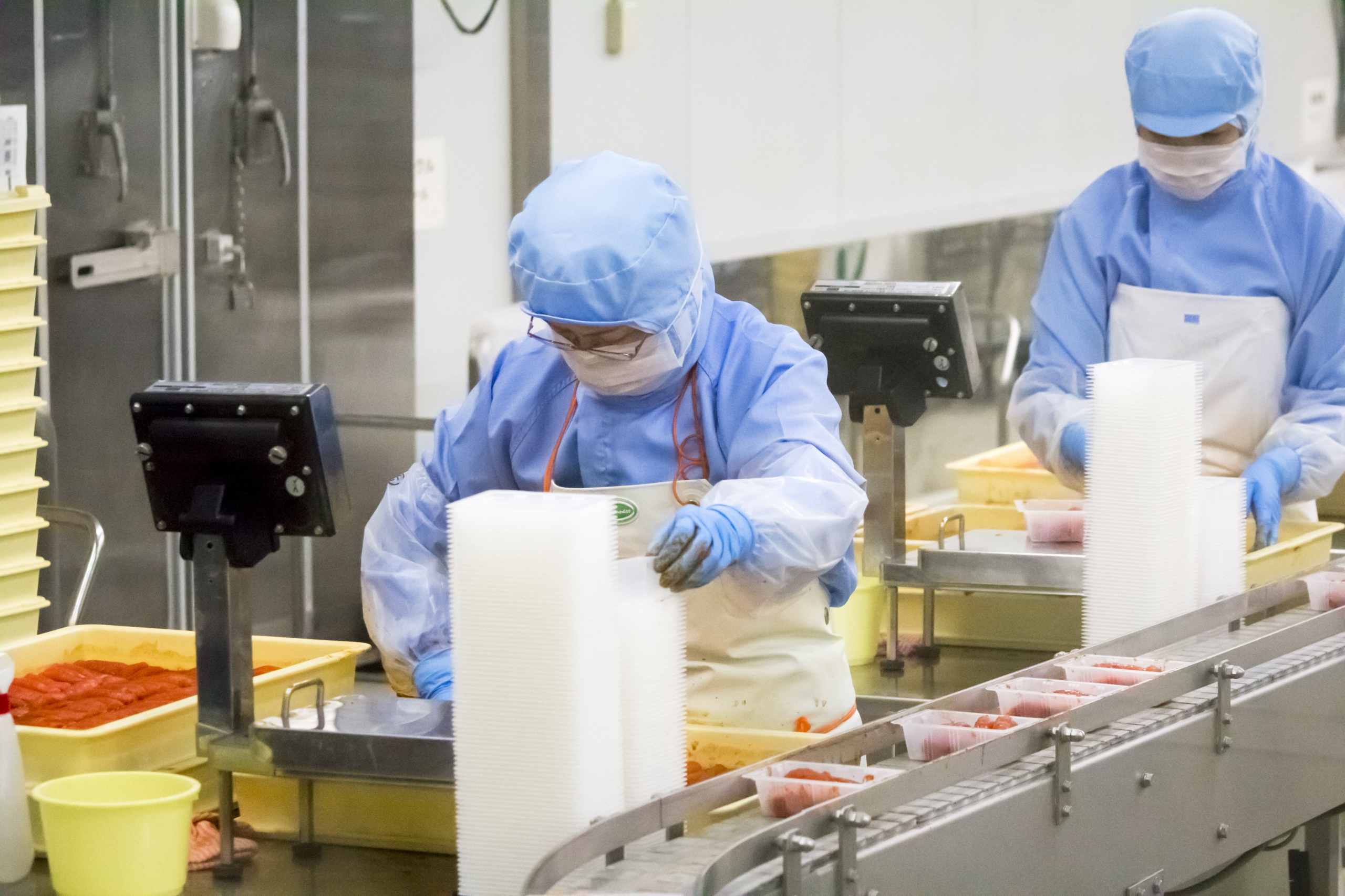 ふくや味の明太子工場ハクハク 営業カレンダー | ふくや味の明太子工場 ハクハク(博多の食と文化の博物館 ハクハク)
